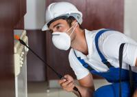 Pest Inspection Maylands - Pest Inspection Perth image 4